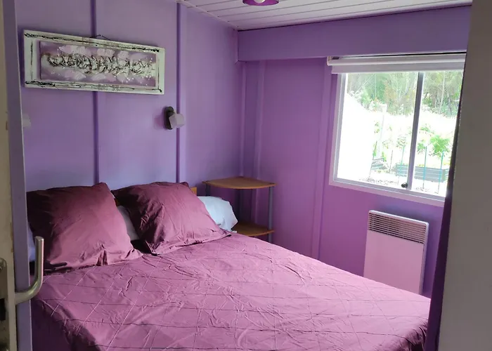 Apartment Belivers *